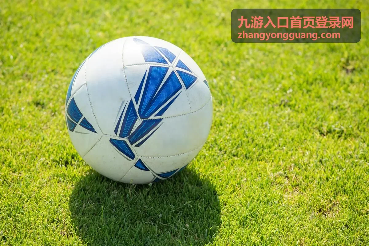 九游入口首页登录网栏目分类导航说明封面